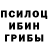 Галлюциногенные грибы прущие грибы TJK_DUSHANBE