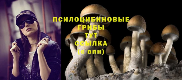 дурь Куйбышев