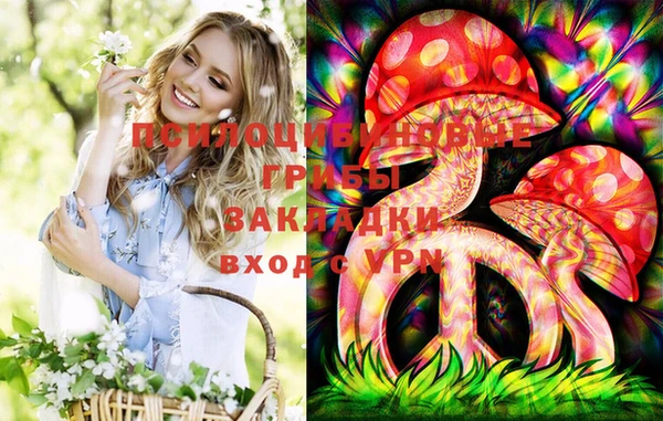 марки lsd Краснотурьинск