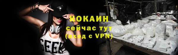 твердый Кулебаки