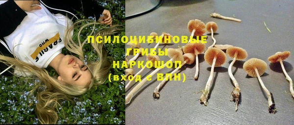 меф Краснослободск