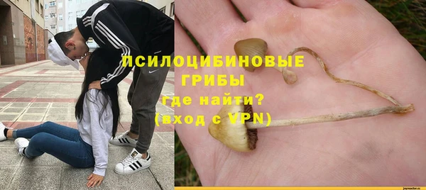 твердый Кулебаки